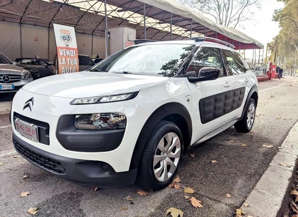 CITROEN C4 Cactus Image 1